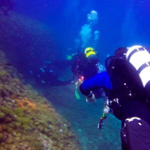 licencia federativa de buceo deportivo 000